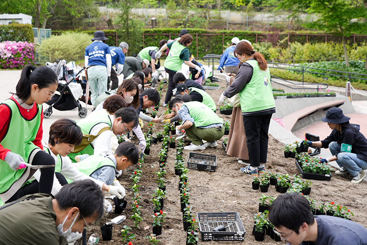 花苗の植替の様子