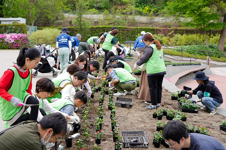 花いっぱいプロジェクトで花苗の植替を行っている様子