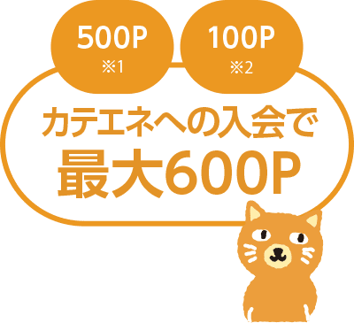 カテエネへの入会で最大600ポイントプレゼント