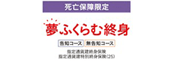 夢ふくらむ終身(死亡保障限定)