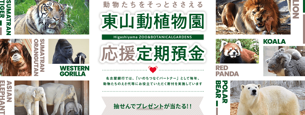 動物たちをそっとささえる　東山動植物園応援 定期預金