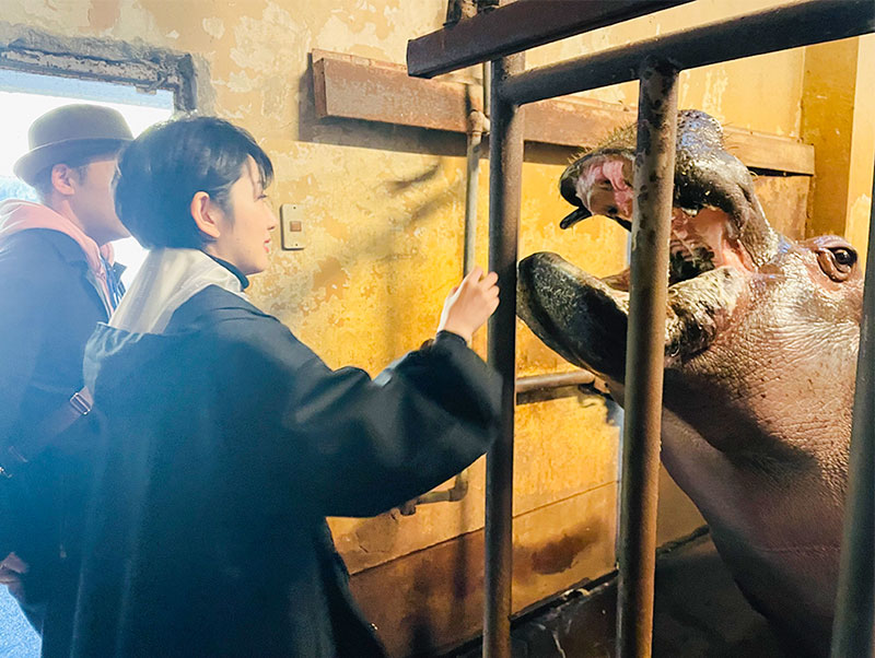ド迫力！カバにご挨拶ツアーの様子②