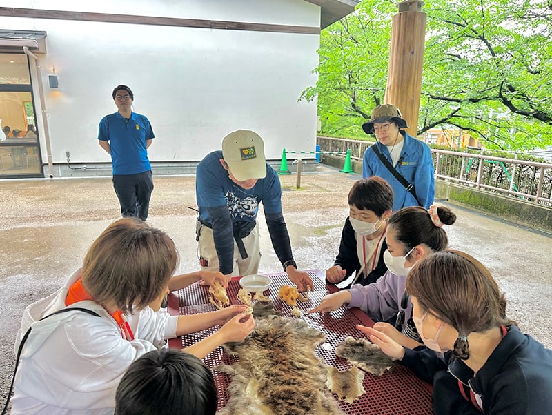 意外と知らない日本動物の様子（2）