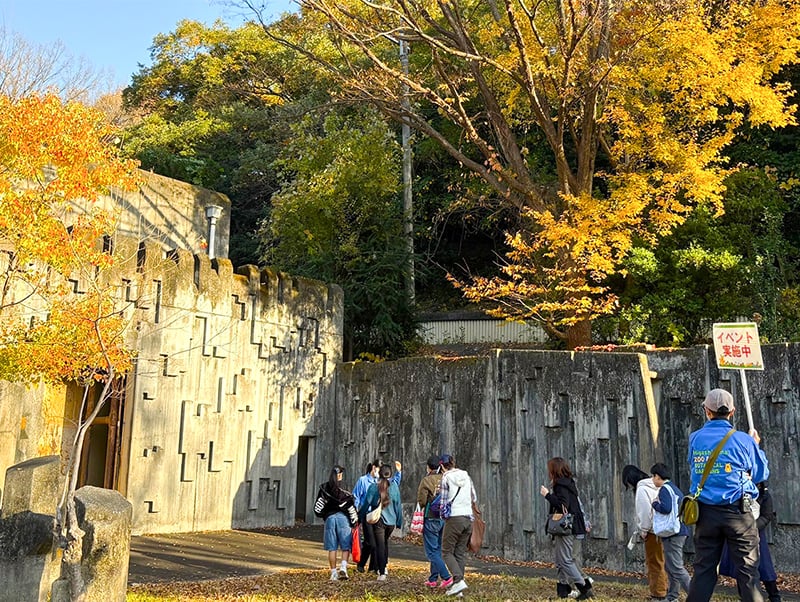 大型草食動物のくらしを見てみようの様子（1）