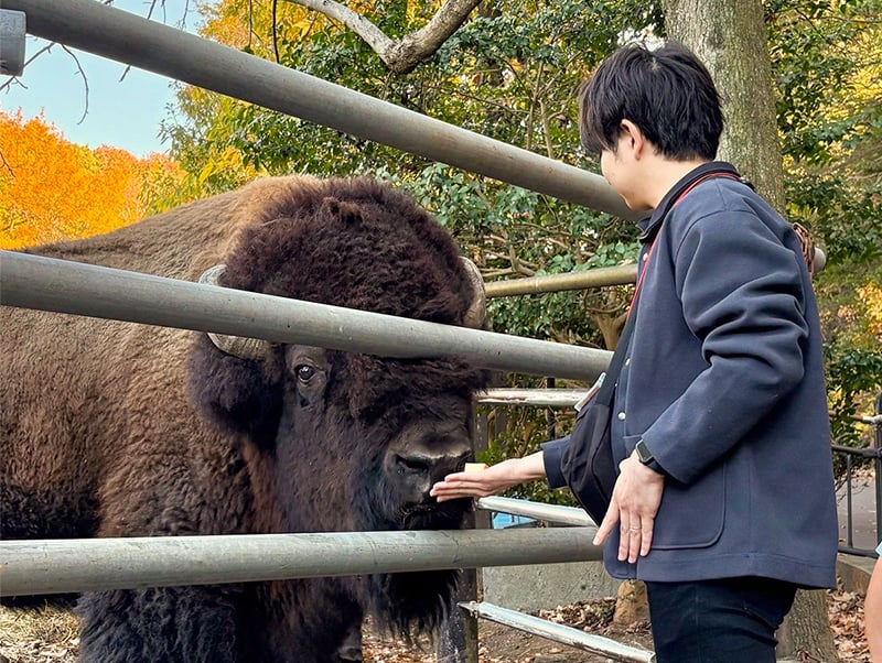 大型草食動物のくらしを見てみようの様子（2）